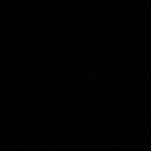 Meet your Posher, Maya